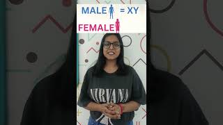 Sex Determination in Humans
