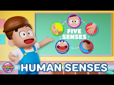 Learn the 5 Senses 👀👂 Science Fun for Kids with Tepo, Bubu & Goomi | GumGumTV