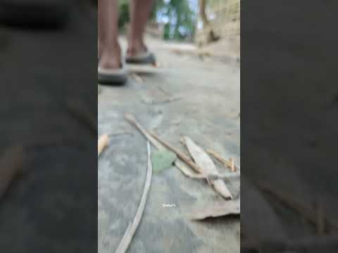 Cycle Attitude | Vol 2 #viral #attitude #attitude_whatsapp_status