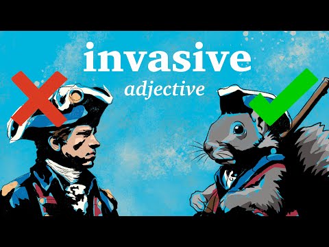 Are Humans An Invasive Species
