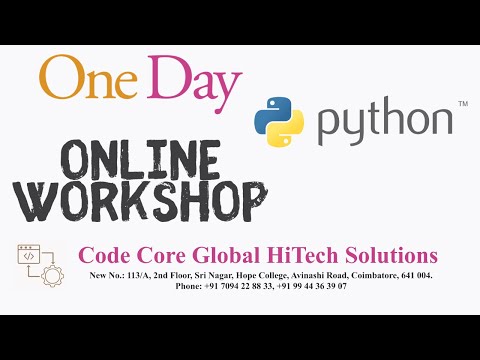 One-Day Online Python Workshop