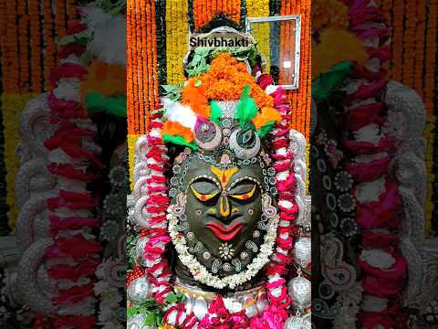 उज्जैन महाकाल | महाकाल दर्शन #mahakal #mahakalstatus #ujjainmahakal #ujjain #shorts #bholenath