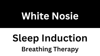 Sleep Inducer: Relaxing Sleep with Breathing Therapy | White Noise | Black Screen | 10 Hours