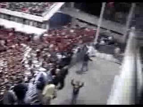 Redcoat Band Responds to Pesky Yellowjackets