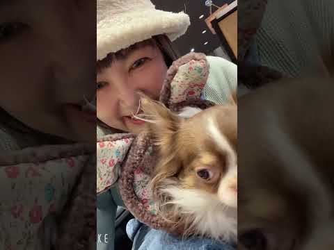 なつみとシエラちゃん🐶