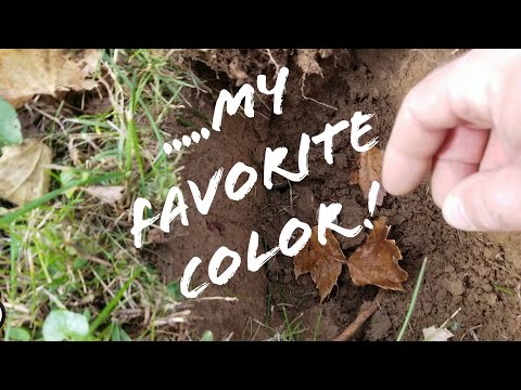 My favorite color! Metal detecting finds SILVER and more