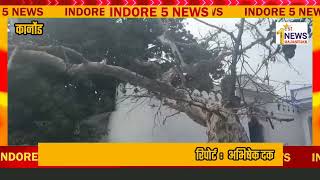 कानोंड : सुख रहे है अमूल्य अर्जून वृक्ष,प्रशासन बेखबर