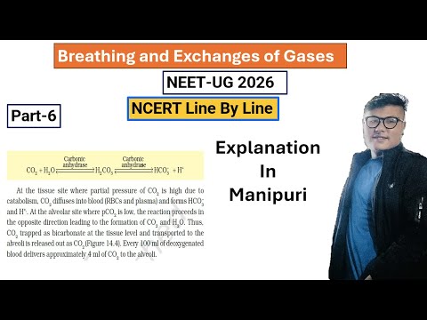 Breathing and Exchanges of gases || Part- 6 || NEET UG Foundation #ncert #neet #latestnews