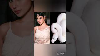 Nagin 🐍 Shivaniya all acters dress maching 🐍 #Nagin #youtubeshorts #trending #viral #shorts #video