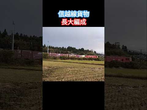 信越線貨物#鉄道 #train #電車 #貨物列車 #信越線 #jr貨物 #shorts #shortsvideo