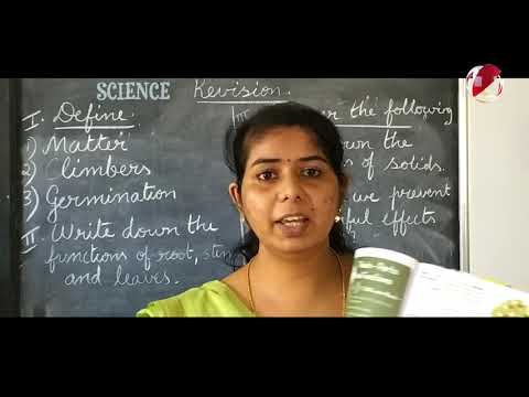 ICSE - CLASS 3 - SCIENCE - RIVISION