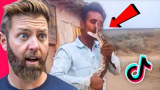 Deadly Indian Animal TikTok Review