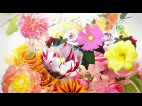 [TOODING] 모누케노카라다(もぬけのからだ)를 불러보았다歌ってみた