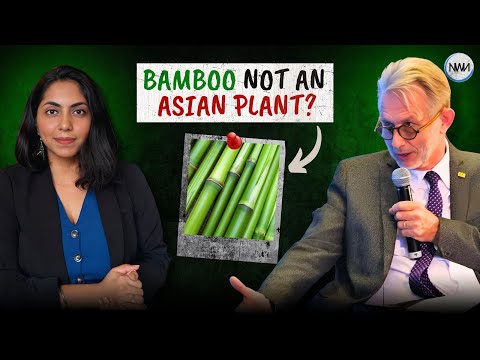 Bamboo Isn’t What You Think! Expert Drops Truth Bombs! | INTERVIEW