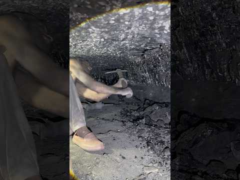 Black Diamond mining ⛏️ #coalmining #blackgoldmining #diamondmining #treasuresearch