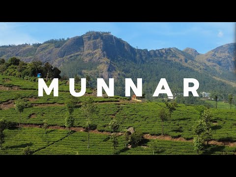 MUNNAR 4k drone view[cinematic][kerala ] 4k UHD