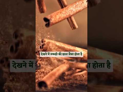 CINNAMON दालचीनी || #health #herbs #tips #shorts #spices #trending