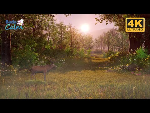 [4K] Sleep Meditation for Kids | Glowing Fishes | Badanamu Calm