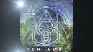 Dystracted 'Way To Go Bro' (PREVIEW) NUMINOUS compilation OUT NOW on Grand Alliance Music