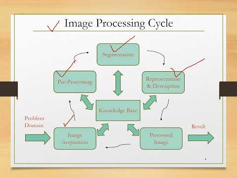 Segmentation in Digital Image Processing [Part 1]