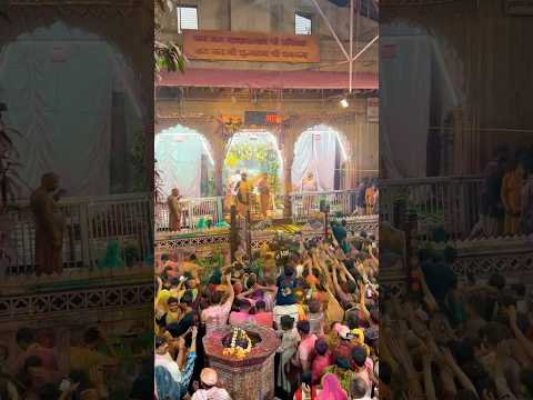 World famous Holi Shri Radhavallabh Mandir #trending #holifestival #holi#shorts