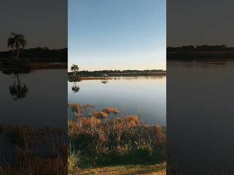 #lakeview #nature #water #birds #evening #life #sunset #dmax #eveningfeel