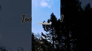 Todi ditta dil | Dogri Song | Himachali Song #dogrisong #himachalisong #punjabisong @ARJProductions