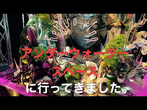 【vlog】最速レポ、アンダーウォータースペースにおでかけしてきました。