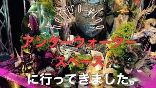 【vlog】最速レポ、アンダーウォータースペースにおでかけしてきました。
