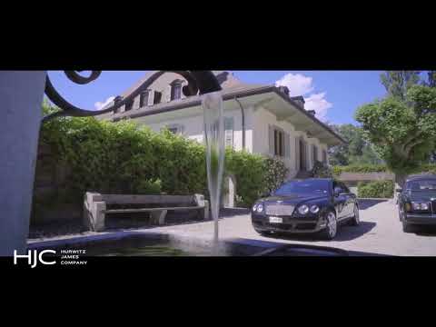 The Merlinge Castle - Hurwitz Jame Co. ( The HJC )