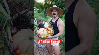 This #harvest was TRAUMATIC 😭#garden #farm #abundance