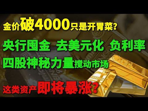 美国政府停摆，黑天鹅来袭，金价破 4000 只是开胃菜？央行囤金、去美元化、负利率… 四股神秘力量搅动市场，这类资产即将暴涨？揭秘普通人终极投资策略！#美股投资 #黄金#美元走勢