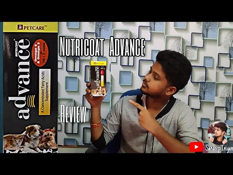 Nutricoat Advance Review in Tamil | Best dog hair supplement | Dog hair Tips | Sandeep Iniyan |