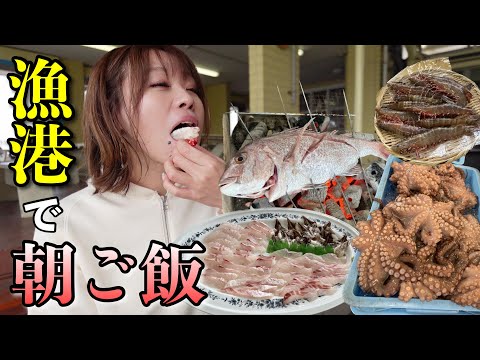 朝5時起きで漁港に向かって市場の鮮魚や活魚をたらふく食べたら幸せすぎた【田尻漁港 日曜朝市】