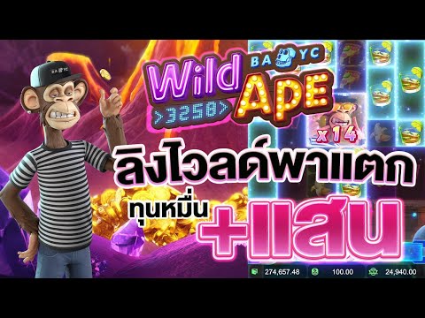 ลิงกิน Wild แตกยับ เฮียตั๋งเองอย่าเกรงใจ│เกม Wild ape ➤ PG SLOT
