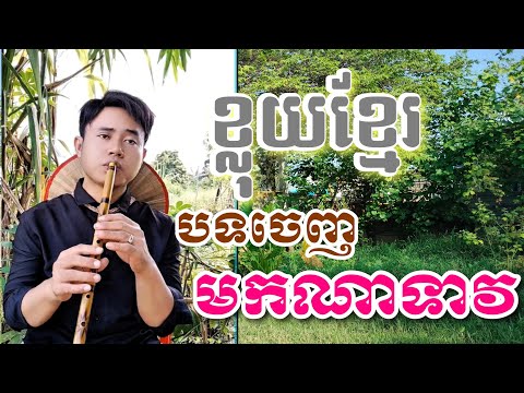 ខ្លុយខ្មែរ បទចេញមកណាទាវ/ChanChao