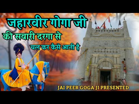 जहारवीर गोगा जी की सवारी की पैड़ी | jaharveer goga ji ki paidi | Jai Peer Goga Ji |