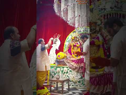 Shri Radhavallabh Mandir Vrindavan , Uttar Pradesh || #vrindavan #radhavallabhji #radhavallabhlal