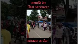 नारायणि प्रेत शिला हरिद्वार #viralshorts #viralvideo #haridwar #shorts #अमावस्या_स्टेटस