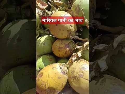 20 मार्च 2025 लुधियाना मंडी #नारियल पानी का रिटेल भाव#vegetableprice