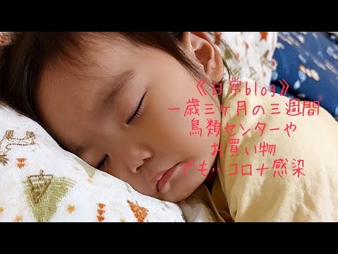 《日常blog》ショート動画総集編③#日常#1歳3ヶ月#成長#子供#1歳#shortvideo#癒し#あかちゃんのいる生活#ショート#育児#short#shorts#赤ちゃん#親子#成長記録