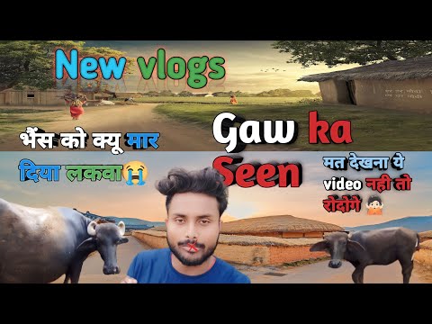 गांव में मार दिया  भैंस को लकवा😭🤷🏻 तंत्र #viral vlog video #viralvideos #paraprincevlogs #2023
