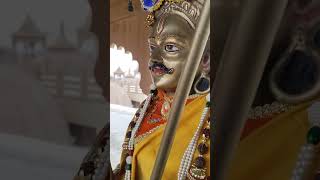 Goga Ji Maharaj 🙏 #love #jaigogapeer #gogajimaharaj #motivationalsong #song #jaigogajimaharaj
