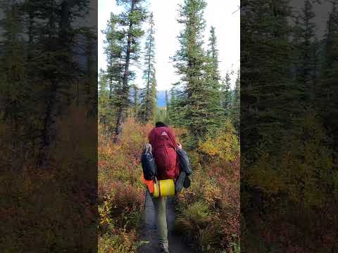 Come Walk with Me Through Beautiful Alaska-Virtual Hike Now LIVE #nature #backpacking #alaska