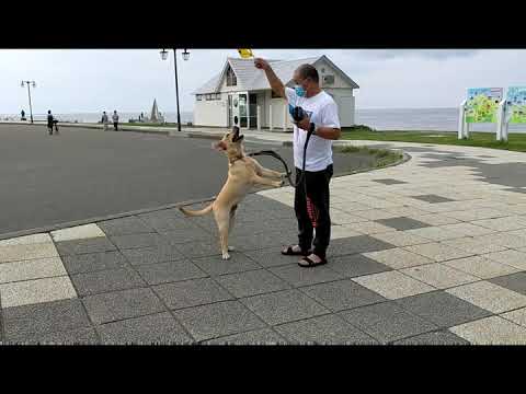 北海道への旅の巻（北海道編④）修正済