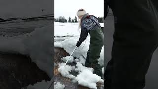 Spring Came Early This Year #spring #nature #naturelover #outdoors