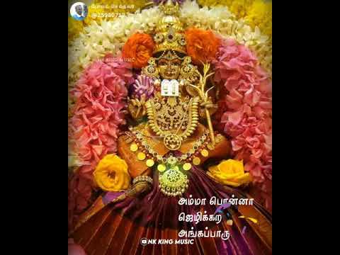 Tamil ammn status