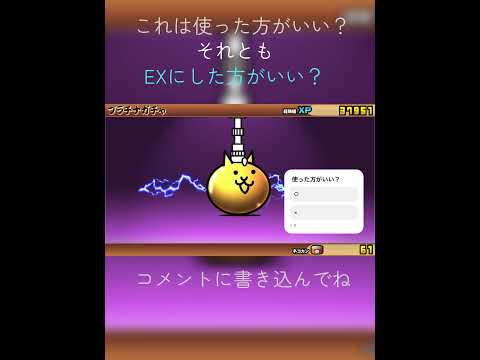 【にゃんこ大戦争】どっちにした方がいいと思う???(EXじゃなくてXPでした)