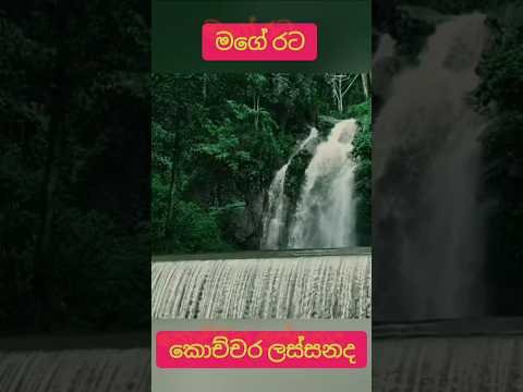 One of the most beautiful island #srilanka #trending #travel #tranding #shortvideo