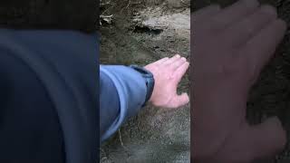 Gold Is Where You Find It #shorts  #goldpanning #gold #vermont #goldmining